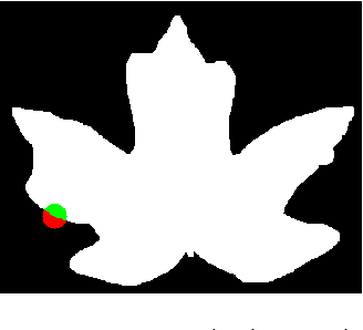 Figure 3 for Shape-only Features for Plant Leaf Identification