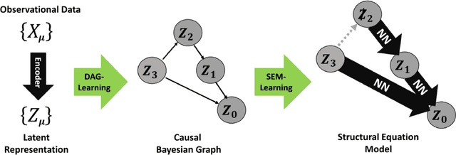 Figure 1 for Autoencoding Structural Equation Models