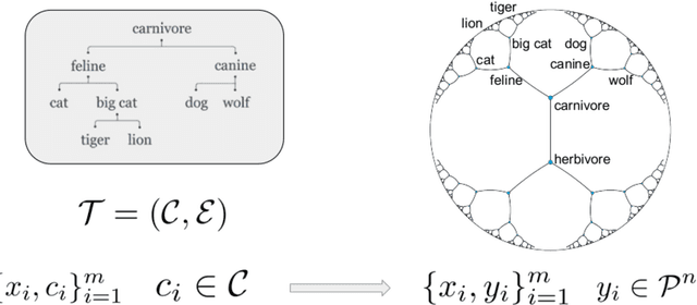 Figure 1 for Hyperbolic Manifold Regression
