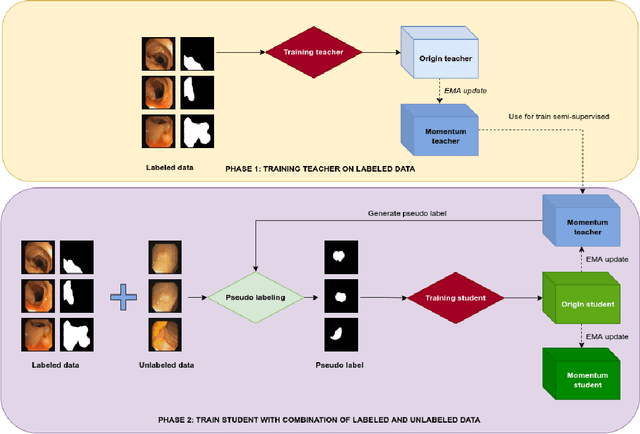 Figure 1 for Online pseudo labeling for polyp segmentation with momentum networks