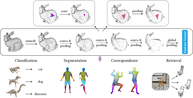 Figure 1 for Subdivision-Based Mesh Convolution Networks