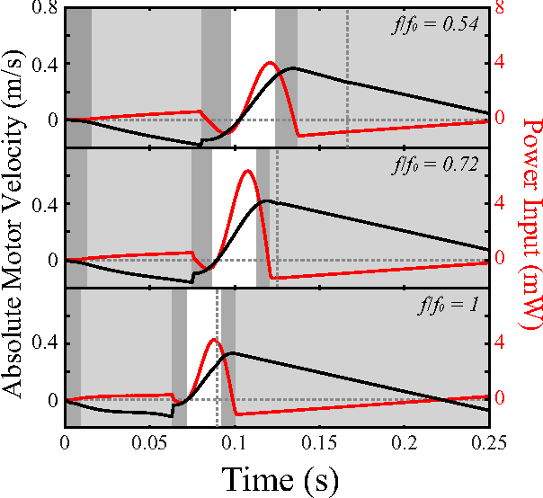 Figure 4 for Lift-off dynamics in a simple jumping robot