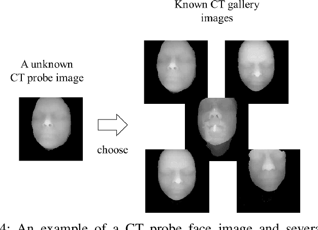 Figure 4 for Human Recognition Using Face in Computed Tomography