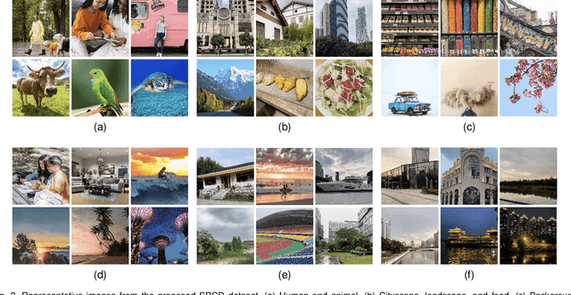 Figure 4 for Measuring Perceptual Color Differences of Smartphone Photography