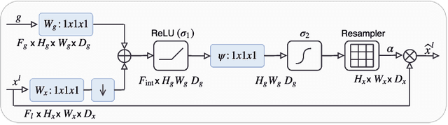 Figure 3 for Attention Gated Networks: Learning to Leverage Salient Regions in Medical Images