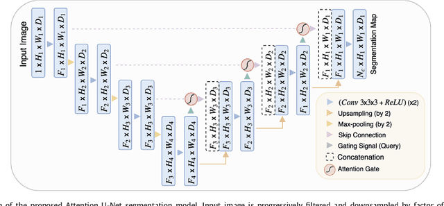 Figure 4 for Attention Gated Networks: Learning to Leverage Salient Regions in Medical Images