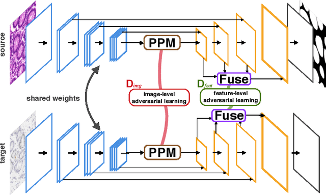 Figure 3 for Dual Adaptive Pyramid Network for Cross-Stain Histopathology Image Segmentation