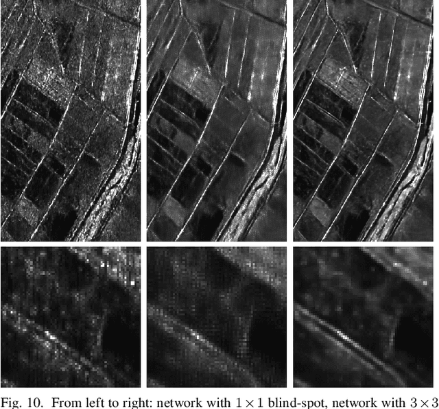 Figure 2 for Speckle2Void: Deep Self-Supervised SAR Despeckling with Blind-Spot Convolutional Neural Networks