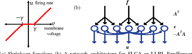 Figure 1 for Online computation of sparse representations of time varying stimuli using a biologically motivated neural network