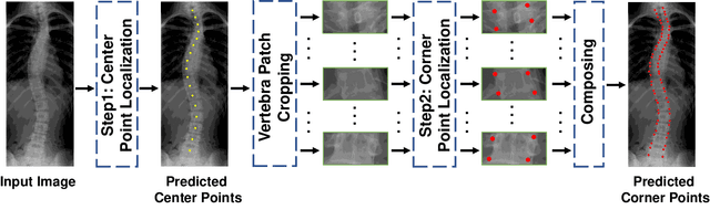 Figure 1 for Accurate Scoliosis Vertebral Landmark Localization on X-ray Images via Shape-constrained Multi-stage Cascaded CNNs