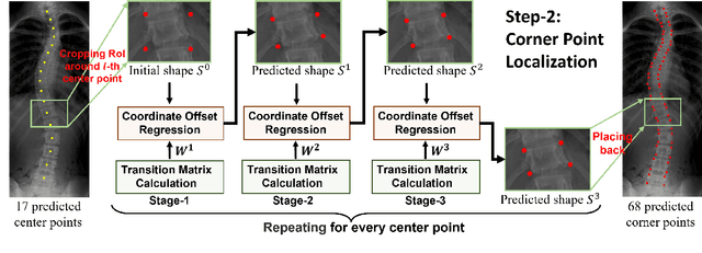 Figure 3 for Accurate Scoliosis Vertebral Landmark Localization on X-ray Images via Shape-constrained Multi-stage Cascaded CNNs