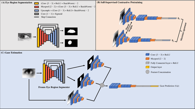 Figure 2 for Gaze Estimation with Eye Region Segmentation and Self-Supervised Multistream Learning