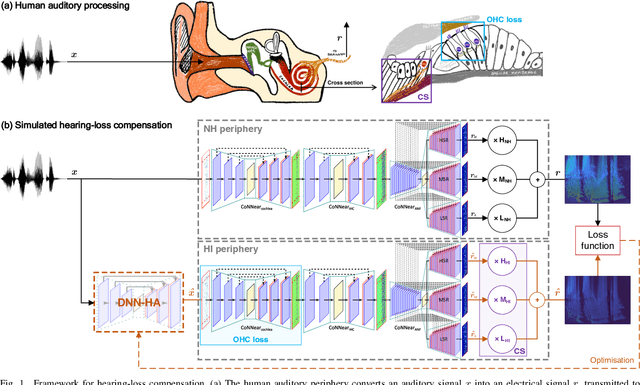Figure 1 for A Neural-Network Framework for the Design of Individualised Hearing-Loss Compensation
