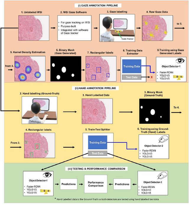Figure 3 for On Smart Gaze based Annotation of Histopathology Images for Training of Deep Convolutional Neural Networks