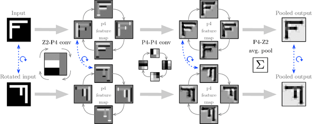 Figure 1 for Rotation Equivariant CNNs for Digital Pathology