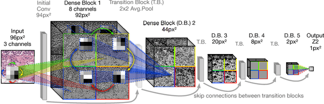 Figure 3 for Rotation Equivariant CNNs for Digital Pathology