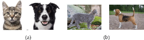 Figure 1 for Unsupervised Domain Adaptation using Regularized Hyper-graph Matching