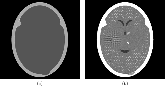 Figure 1 for Computerized Tomography with Total Variation and with Shearlets