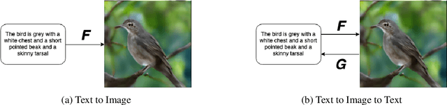 Figure 1 for Cycle Text-To-Image GAN with BERT