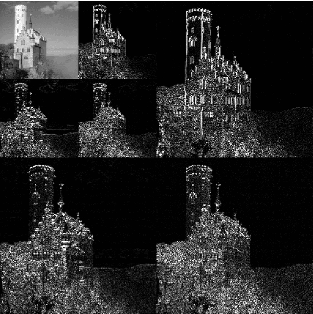 Figure 2 for Face Recognition using Curvelet Transform