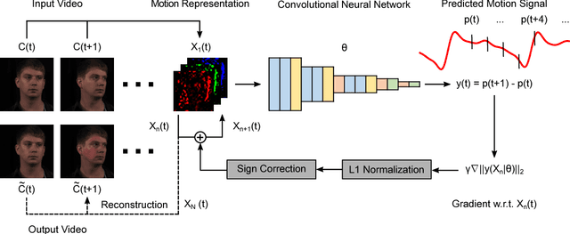 Figure 3 for DeepMag: Source Specific Motion Magnification Using Gradient Ascent