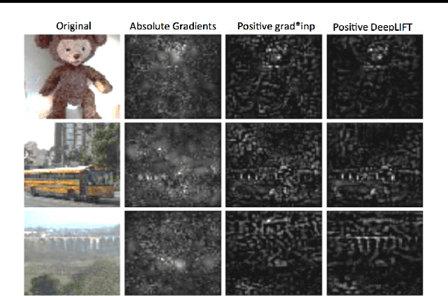 Figure 1 for Not Just a Black Box: Learning Important Features Through Propagating Activation Differences