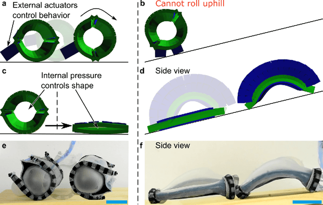 Figure 1 for Gaining environments through shape change