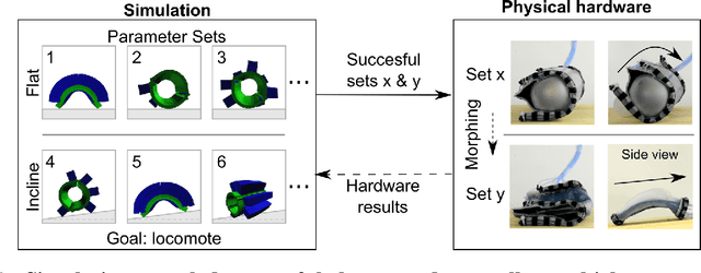 Figure 3 for Gaining environments through shape change