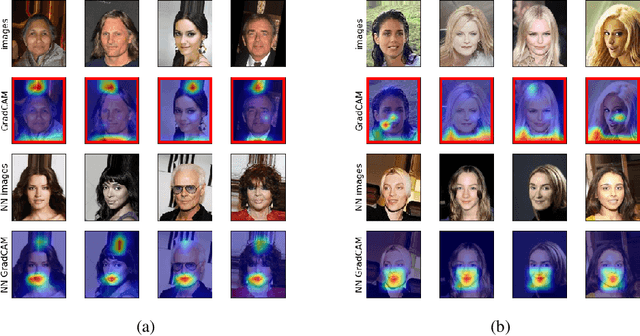 Figure 2 for UDIS: Unsupervised Discovery of Bias in Deep Visual Recognition Models