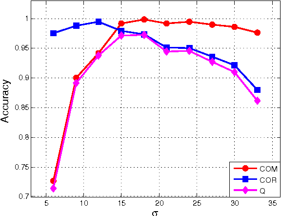 Figure 2 for Accurate Urban Road Centerline Extraction from VHR Imagery via Multiscale Segmentation and Tensor Voting
