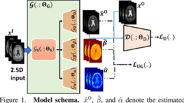 Figure 1 for Uncertainty-aware GAN with Adaptive Loss for Robust MRI Image Enhancement