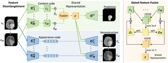 Figure 1 for Robust Multimodal Brain Tumor Segmentation via Feature Disentanglement and Gated Fusion