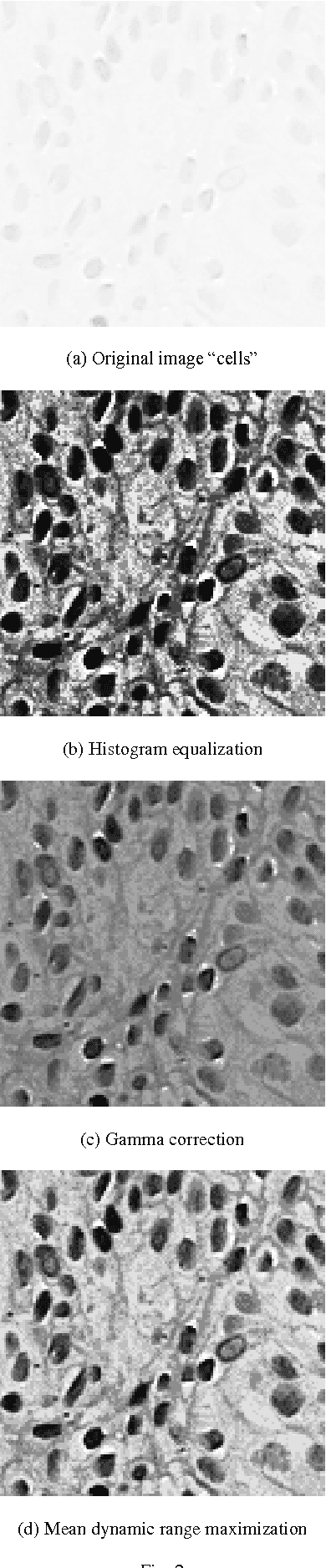Figure 2 for Image enhancement using the mean dynamic range maximization with logarithmic operations