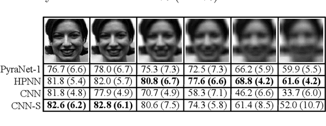 Figure 4 for A Sub-Layered Hierarchical Pyramidal Neural Architecture for Facial Expression Recognition