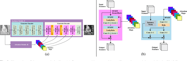 Figure 3 for Self-Attentive Spatial Adaptive Normalization for Cross-Modality Domain Adaptation