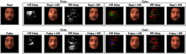 Figure 3 for Visual Representations of Physiological Signals for Fake Video Detection