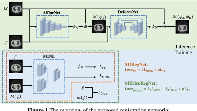 Figure 1 for Mutual information neural estimation in CNN-based end-to-end medical image registration