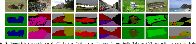 Figure 3 for Structured Learning of Tree Potentials in CRF for Image Segmentation