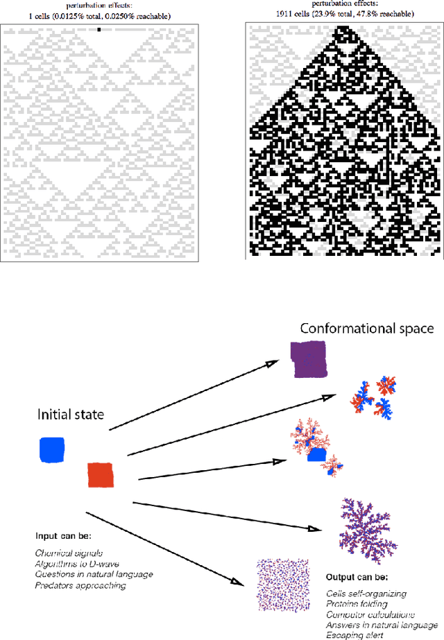 Figure 4 for Causality, Information and Biological Computation: An algorithmic software approach to life, disease and the immune system