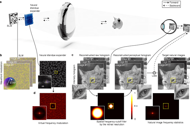 Figure 2 for Neural Étendue Expander for Ultra-Wide-Angle High-Fidelity Holographic Display