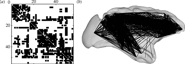 Figure 1 for Brain architecture: A design for natural computation