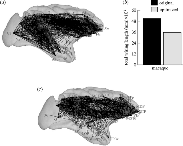 Figure 4 for Brain architecture: A design for natural computation