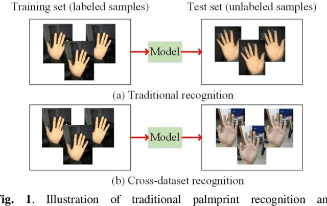 Figure 1 for A Joint Pixel and Feature Alignment Framework for Cross-dataset Palmprint Recognition
