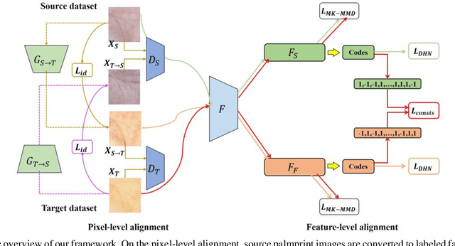 Figure 2 for A Joint Pixel and Feature Alignment Framework for Cross-dataset Palmprint Recognition