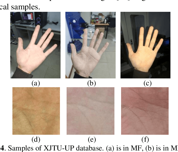 Figure 4 for A Joint Pixel and Feature Alignment Framework for Cross-dataset Palmprint Recognition