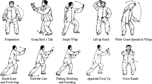 Figure 4 for Spatial Transformer Network with Transfer Learning for Small-scale Fine-grained Skeleton-based Tai Chi Action Recognition