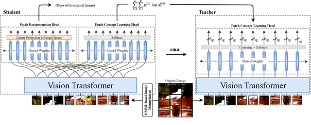 Figure 3 for MC-SSL0.0: Towards Multi-Concept Self-Supervised Learning