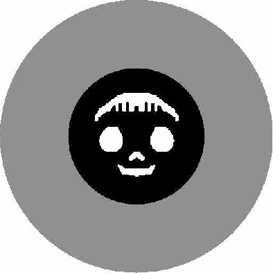 Figure 2 for An active curve approach for tomographic reconstruction of binary radially symmetric objects