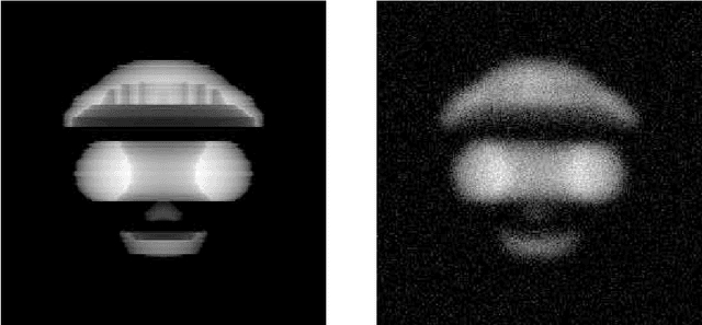 Figure 4 for An active curve approach for tomographic reconstruction of binary radially symmetric objects