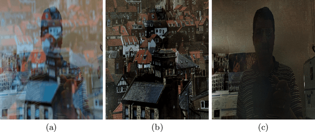 Figure 1 for Reflection Separation and Deblurring of Plenoptic Images